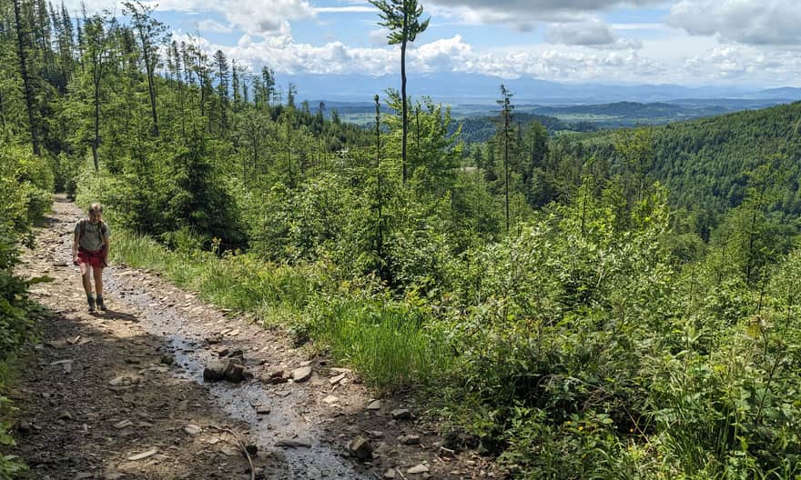 I znowu wąską ścieżką pod górę... tym razem z widokiem na Tatry Zachodnie