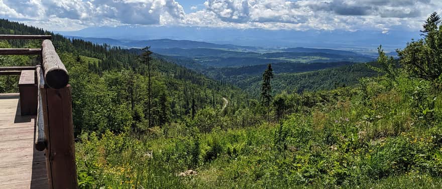 Widok na Tatry spod schroniska na Hali Krupowej