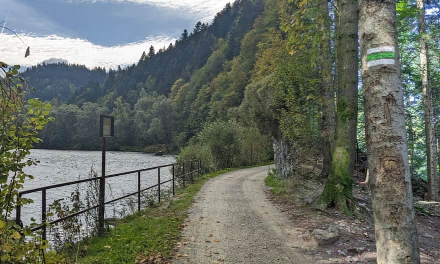 Green Trail from Krościenko to Sokolica