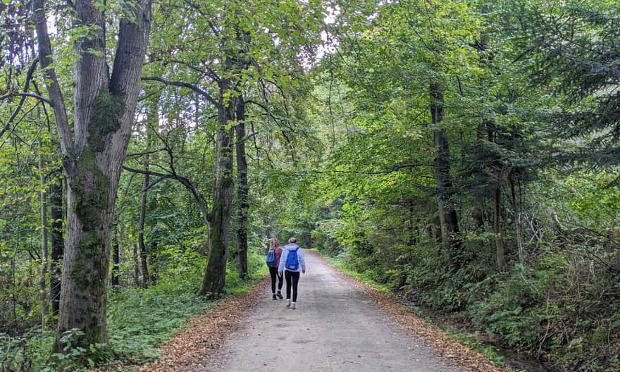 Green Trail from Krościenko to Sokolica