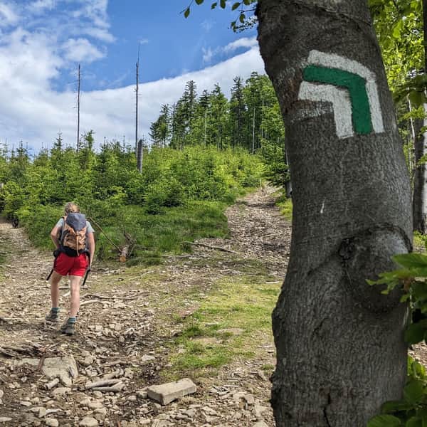 Mosorny Groń - PTTK Shelter on Hala Krupowa: blue and green trail