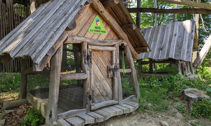 Kojce dla psów