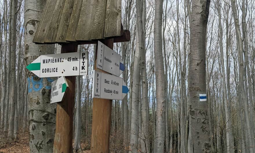 Here, the Blue Trail from Biecz Joins Our Green Trail