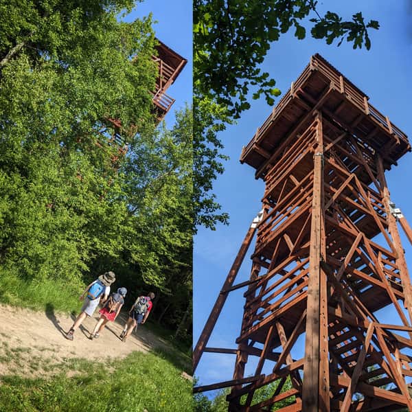To the tower on Polaczkówka from Rabka Zaryte