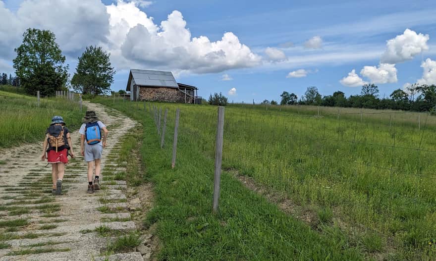 Black Trail from Rabka-Zdrój to Grzebień and to Rabka Zaryte
