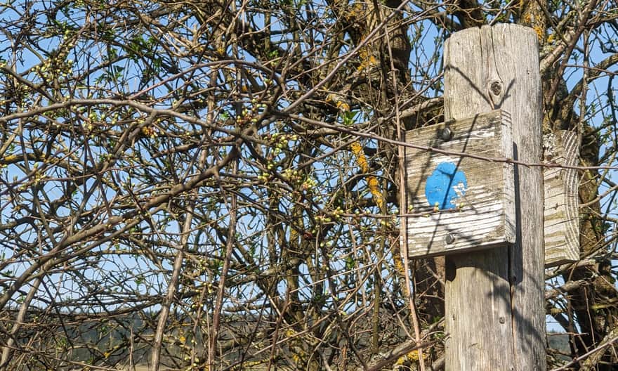 Szlak konny w Izbach po drodze na Lackową