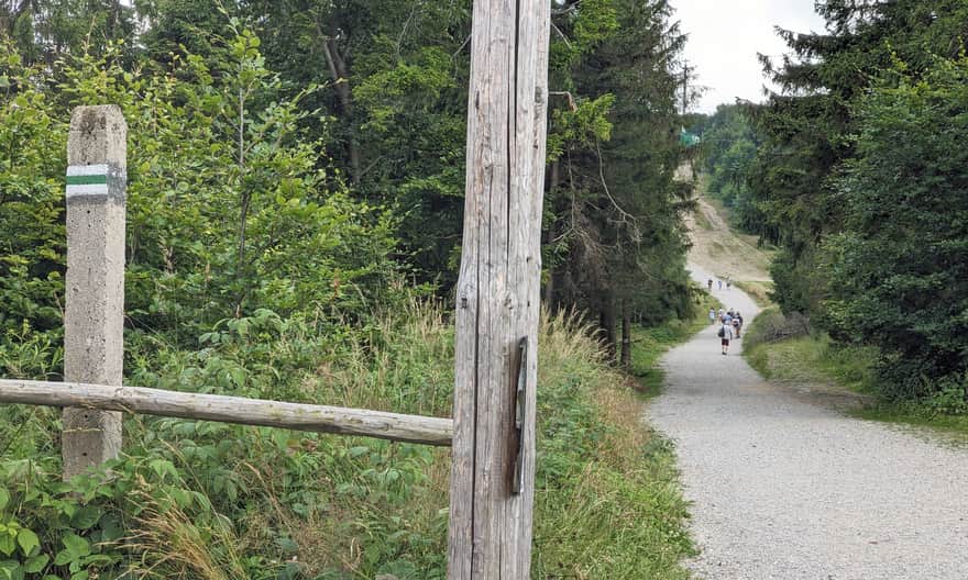 Path from the upper station of the gondola towards the shelter on Szyndzielnia
