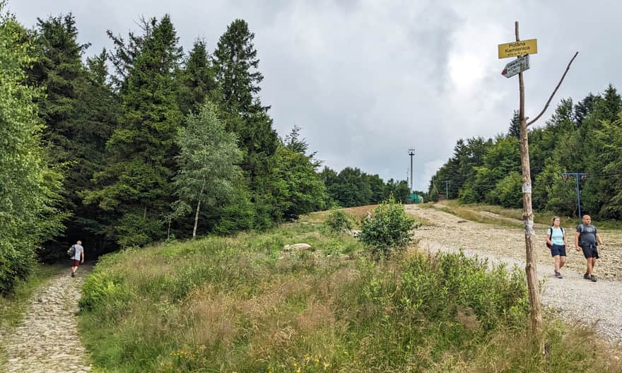 Polana Kamienica under Szyndzielnia