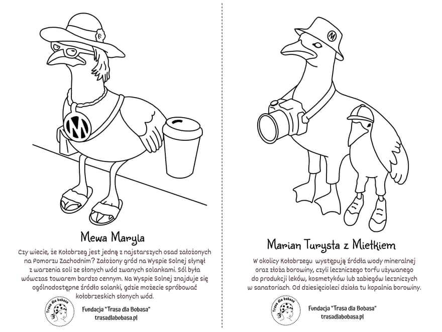 Mewy Mariany Kołobrzeg - kolorowanka pdf do wydruku