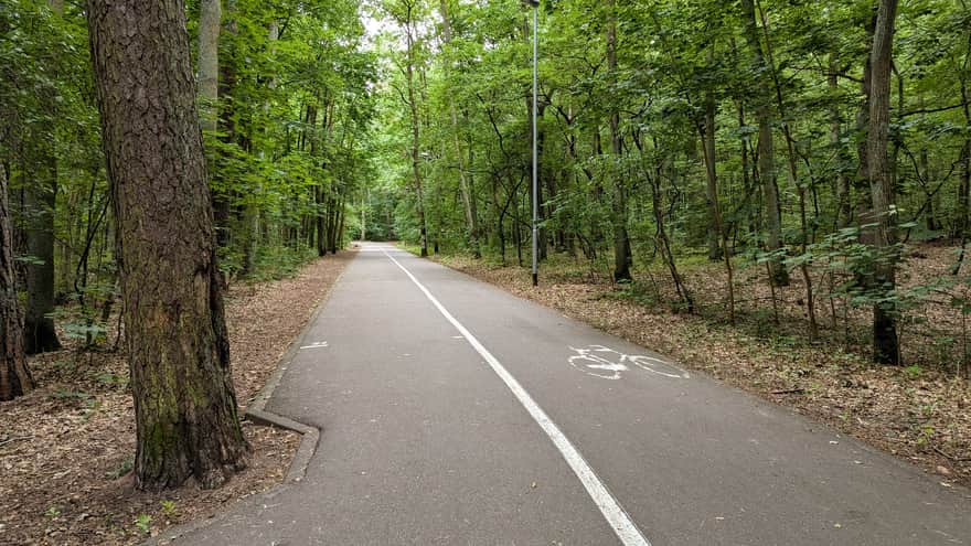 Wokół Jeziora Goplany i Arkonki w Szczecinie - asfaltowa ścieżka pieszo-rowerowa