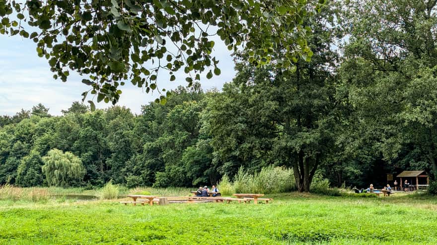 Polana nad Goplaną - miejsce na ognisko i wiata piknikowa przy jeziorze Goplany