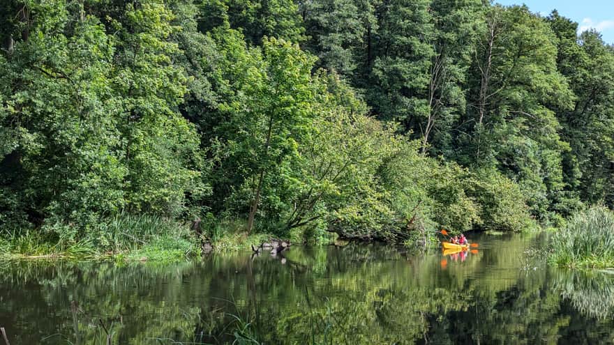 Przepływ kajakiem rzeką Regą