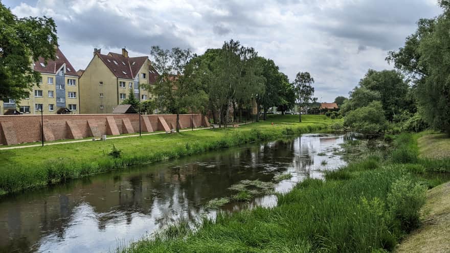 Paths by the Rega River in Trzebiat贸w