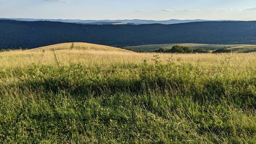 Rzepedka, widok na południe