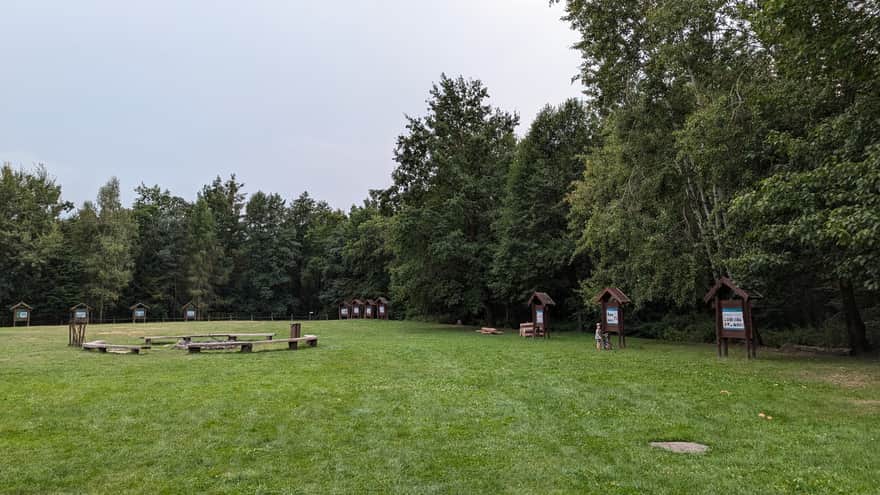 Clearing near the parking lot in Radłowskie Forests (Wierzchosławice)