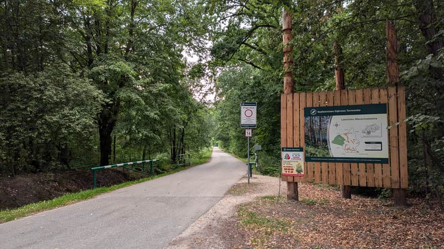 Forest road in Radłowskie Forests