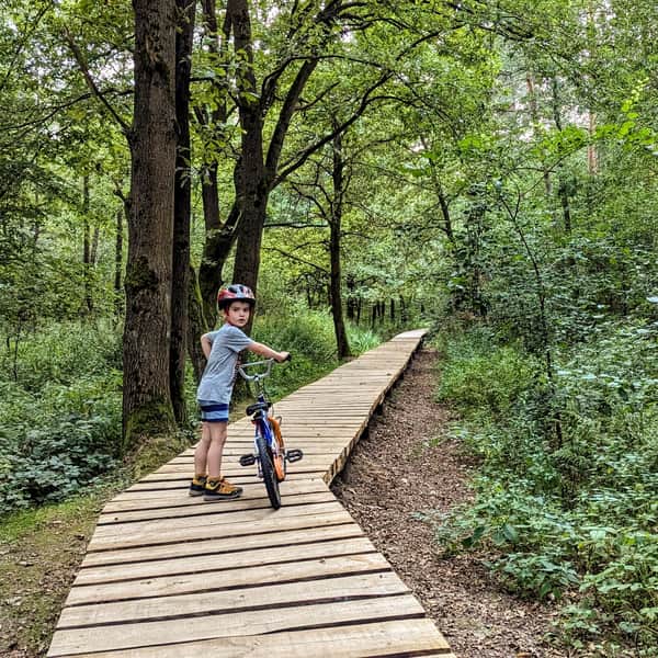 Educational Path of Wierzchosławice Forests (Radłowskie)