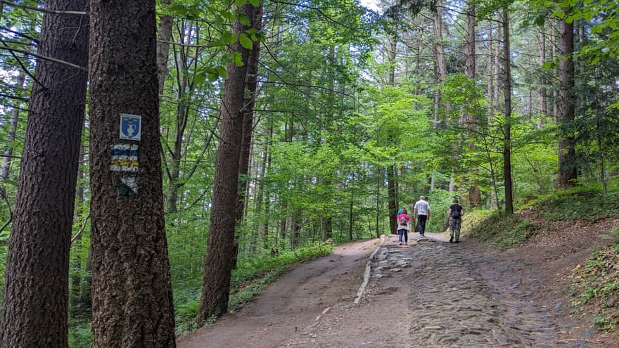 Ścieżka na szczyt Góry Parkowej, Krynica-Zdrój