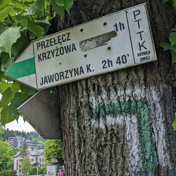Zielony szlak z Krynicy-Zdroju na Jaworzynę Krynicką