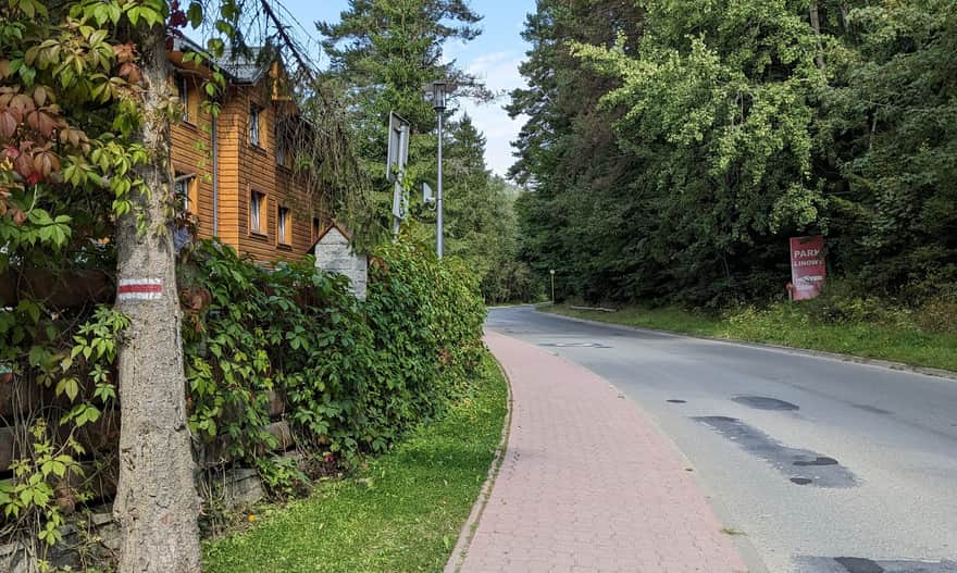 Czerwony szlak z Krynicy-Zdroju na Jaworzynę Krynicką - droga w Czarnym Potoku