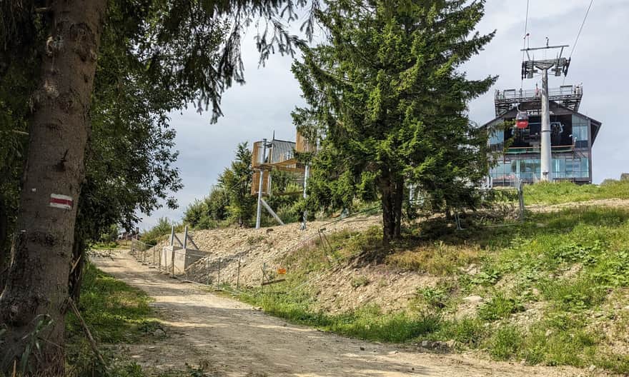 Czerwony szlak na Jaworzynę Krynicką