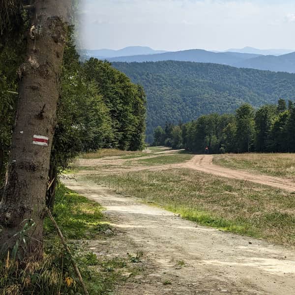 Jaworzyna Krynicka: czerwony szlak z Krynicy-Zdroju