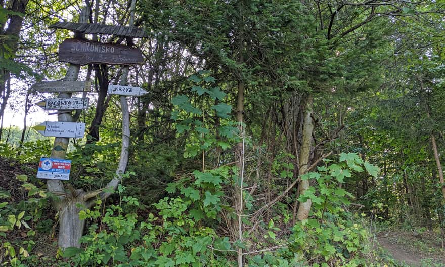 Żółty szlak Szczawnica - Bryjarka - Bereśnik. Tu możemy dojść do szczytu i krzyża na Bryjarce