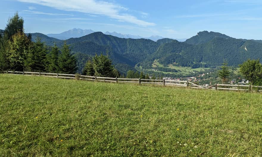 Żółty szlak ze Szczawnicy. Widok z łąk między Bryjarką a Bereśnikiem na Pieniny i Tatry.