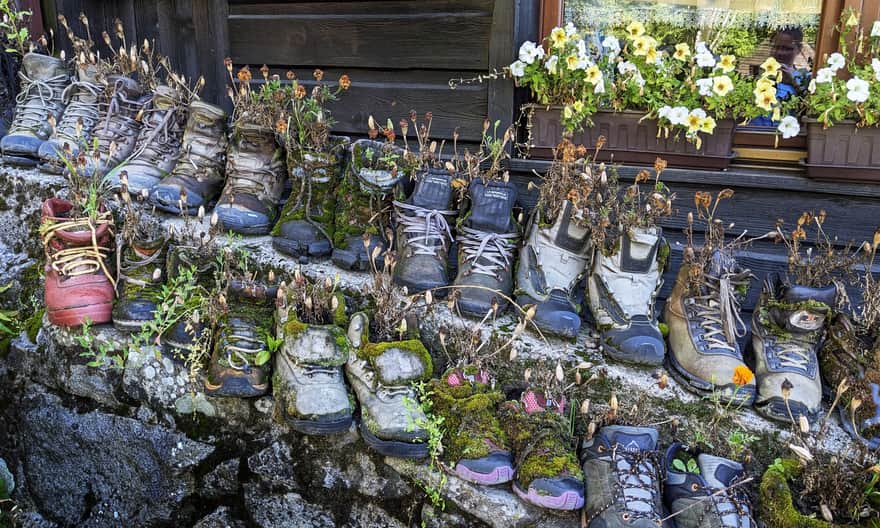 Jeden z symboli bacówki PTTK pod Bereśnikiem - "doniczki" z aksamitkami