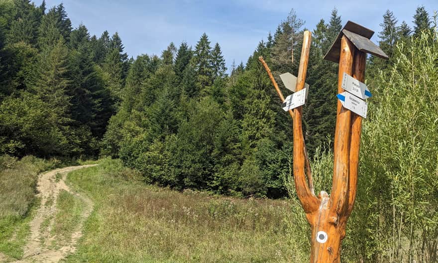 Czarny szlak Sewerynówka - Bereśnik