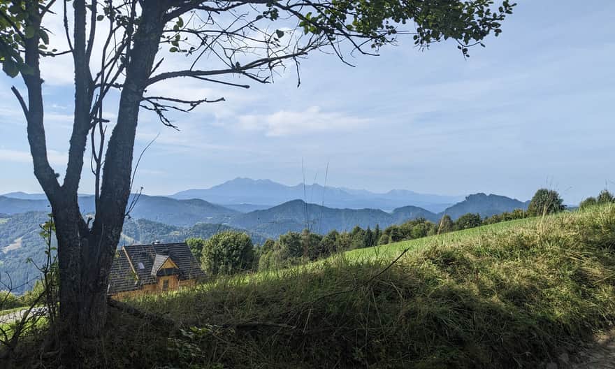 Czarny szlak Sewerynówka - Bereśnik. Widok z polany na Pieniny i Tatry