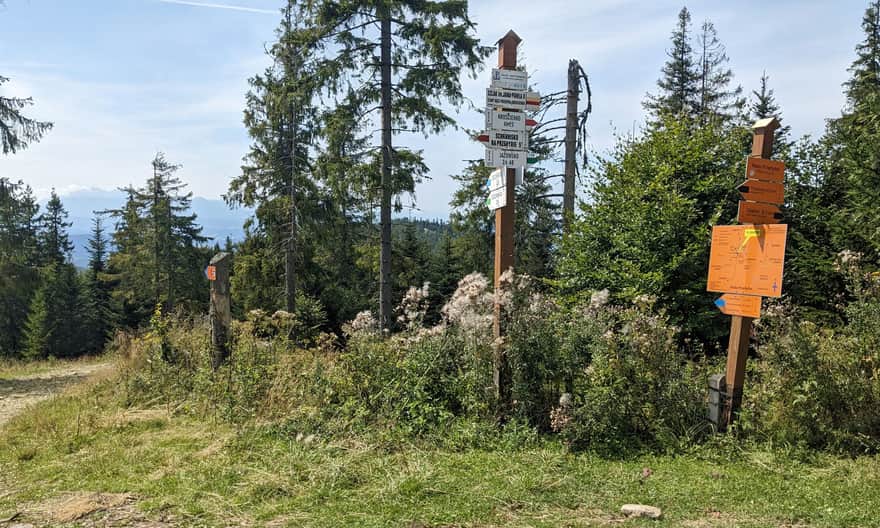 Skrzyżowanie szlaków pod Małą Przehybą (i wielkim masztem)