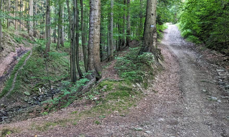 Niebieski szlak Barcice - Makowica. 
