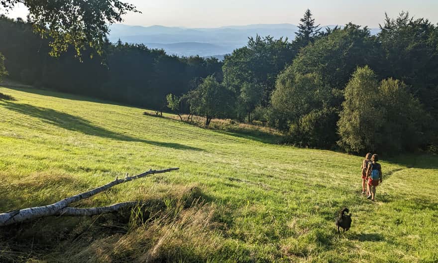 Niebieski szlak Bracice - Makowica. Widokowa łąka ok. 15 min, pod szczytem