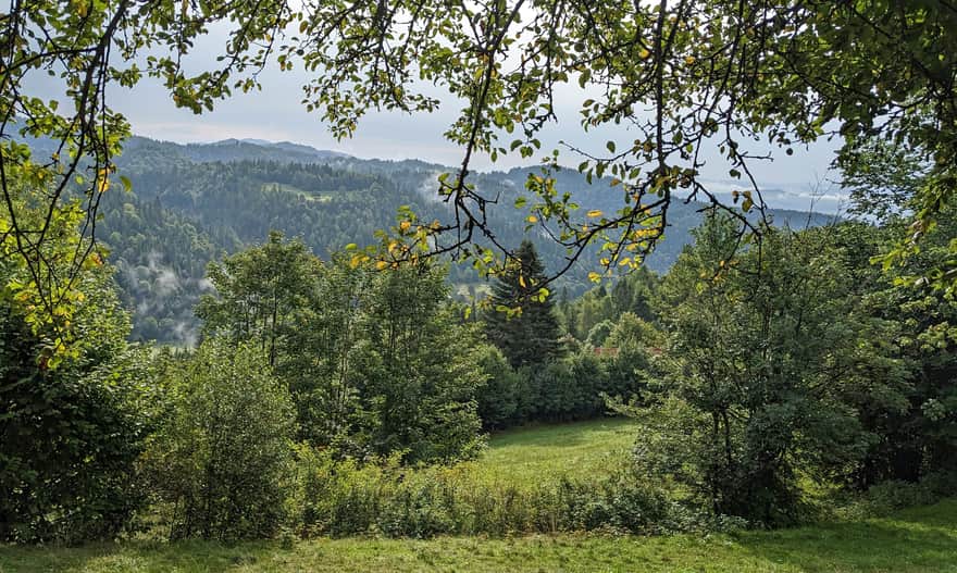 Widok z os. Zarębek Wyżny na wschód