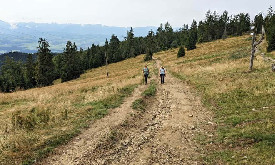 Niebieski szlak z Łopusznej na Turbacz. Polana Wisielakówka