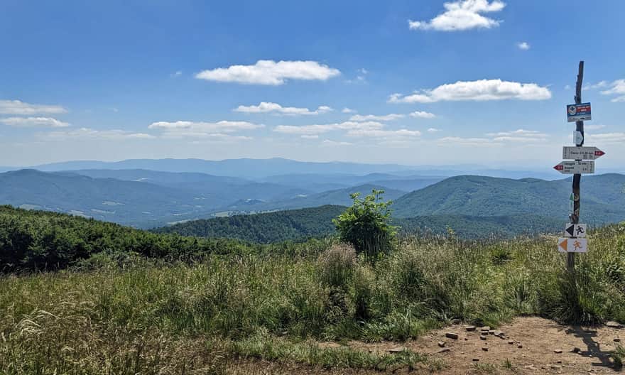 Duże Jasło, 1153 m n.p.m. - widok na południowy-zachód