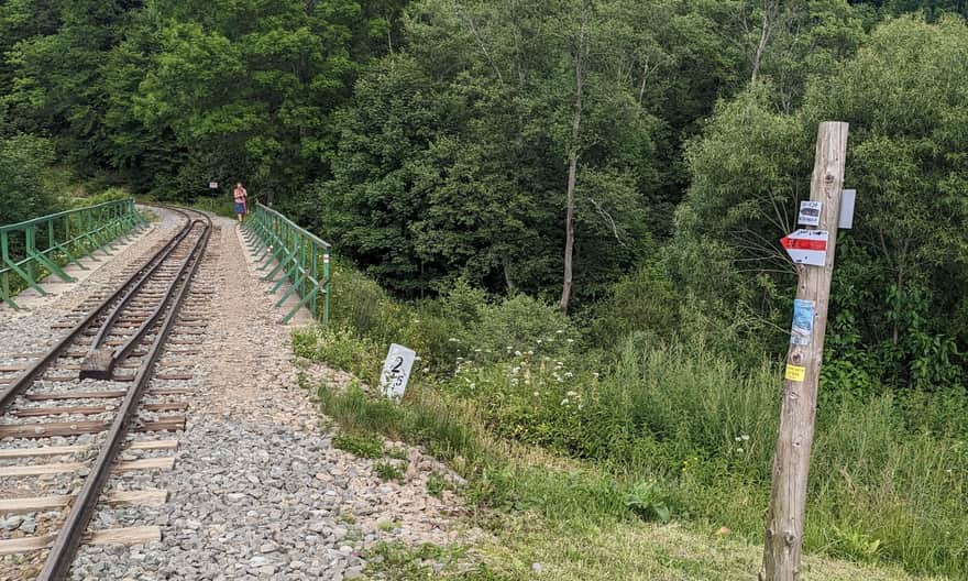 Początek czerwonego szlaku z Cisnej na Jasło i Okrąglik