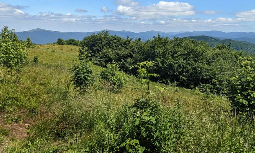Duże Jasło, 1153 m n.p.m. - widok na południowy-wschód