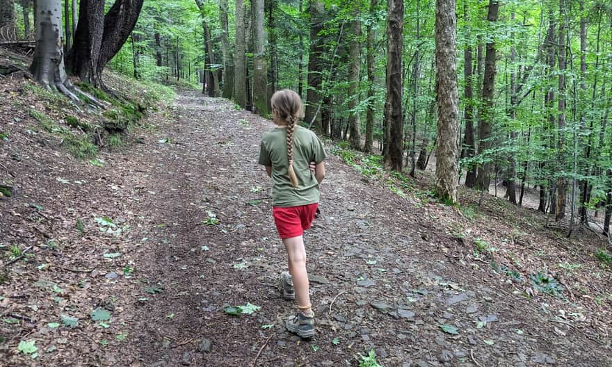 Red trail from Bystra to Kozia Góra