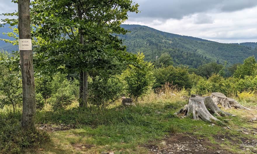 Kozia Góra, 683 meters above sea level - viewpoint at the top