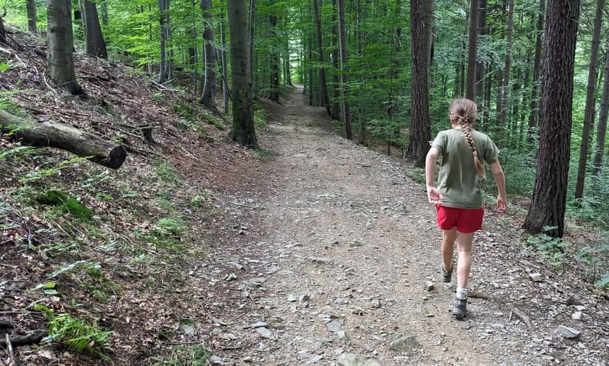 Yellow trail: through Kołowrót to Szyndzielnia