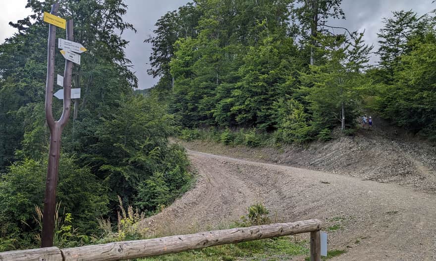 Kołowrót Pass: yellow trail towards Szyndzielnia branches off the main road on a narrow uphill path