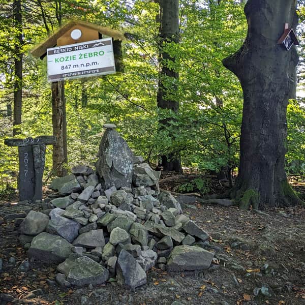 Climb to Kozie Żebro from Regietów