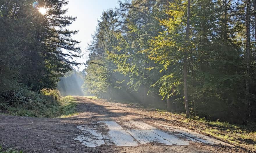 Czerwony szlak Hańczowa - Kozie Żebro