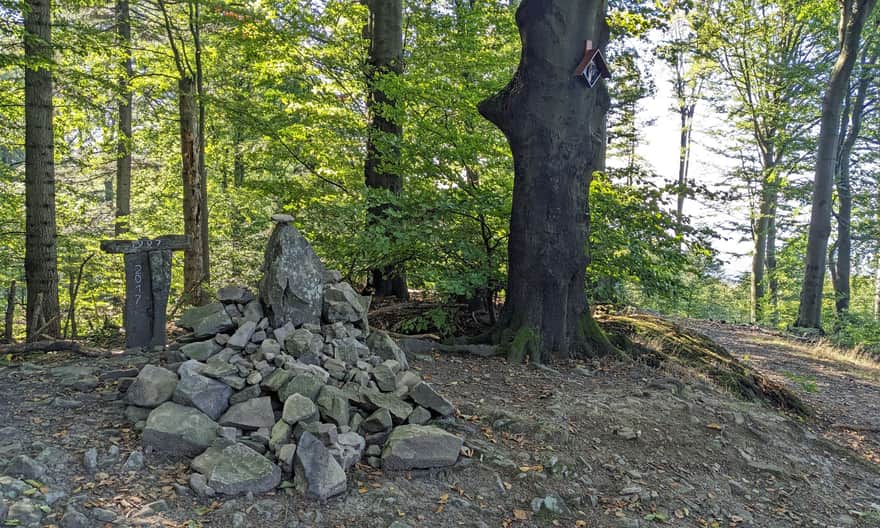 Kozie Żebro, 847 m n.p.m.