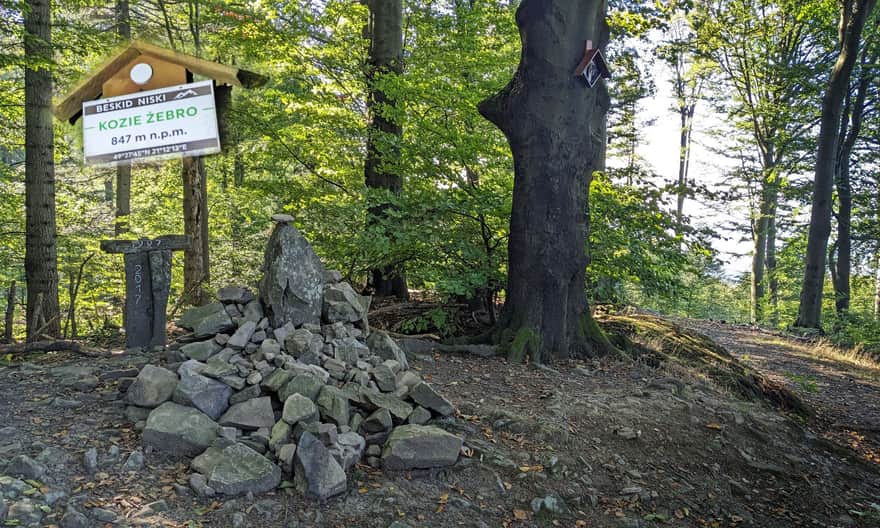 Kozie Żebro, 847 m above sea level