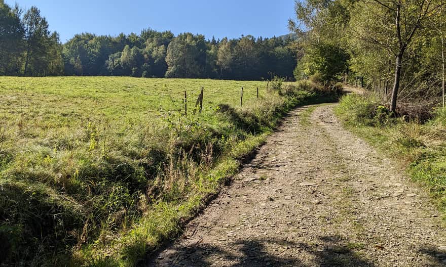 Red trail from Regietów to Kozie Żebro