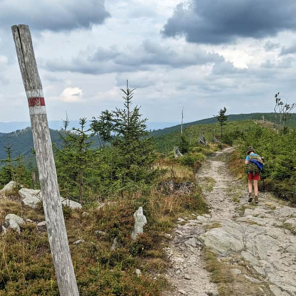 Red Trail from Węgierska Górka to Barania Góra