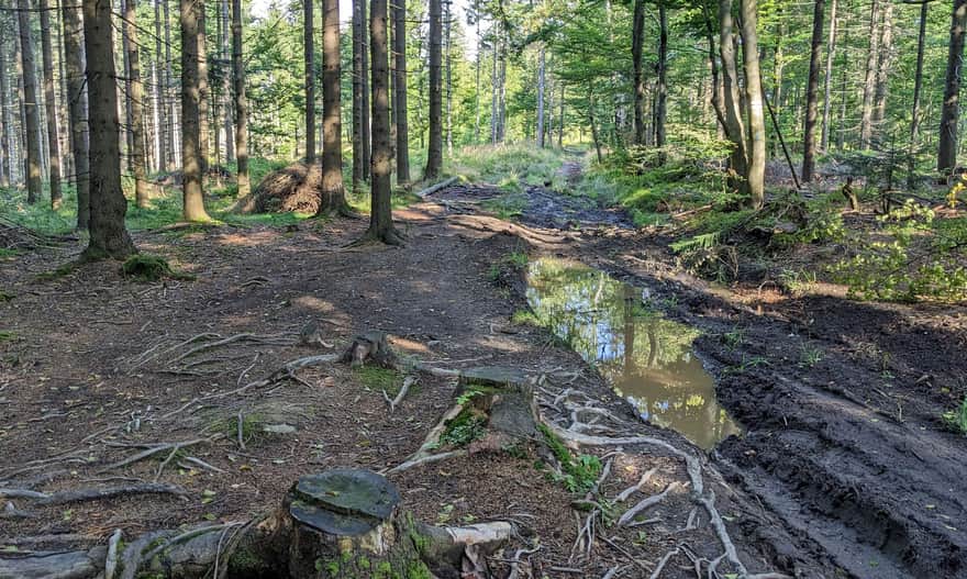 Red Trail to Stożek Wielki - Section from Kubalonka Pass to Beskid Peak